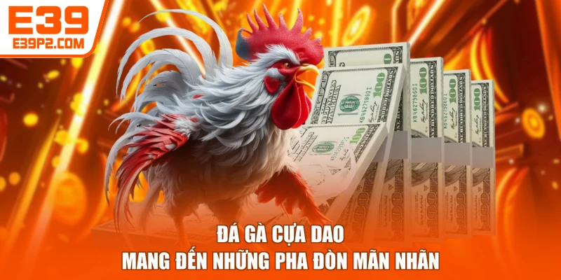 Đá gà cựa dao mang đến những pha đòn mãn nhãn