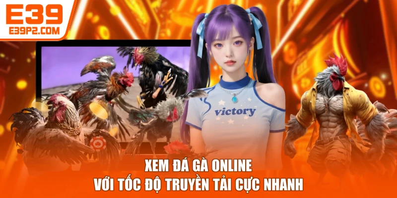 Xem đá gà online với tốc độ truyền tải cực nhanh